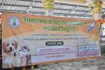 เทศบาลตำบลหนองคล้า เปิดโครงการสัตว์ปลอดโรคคนปลอดภัยจากโรคพิษ